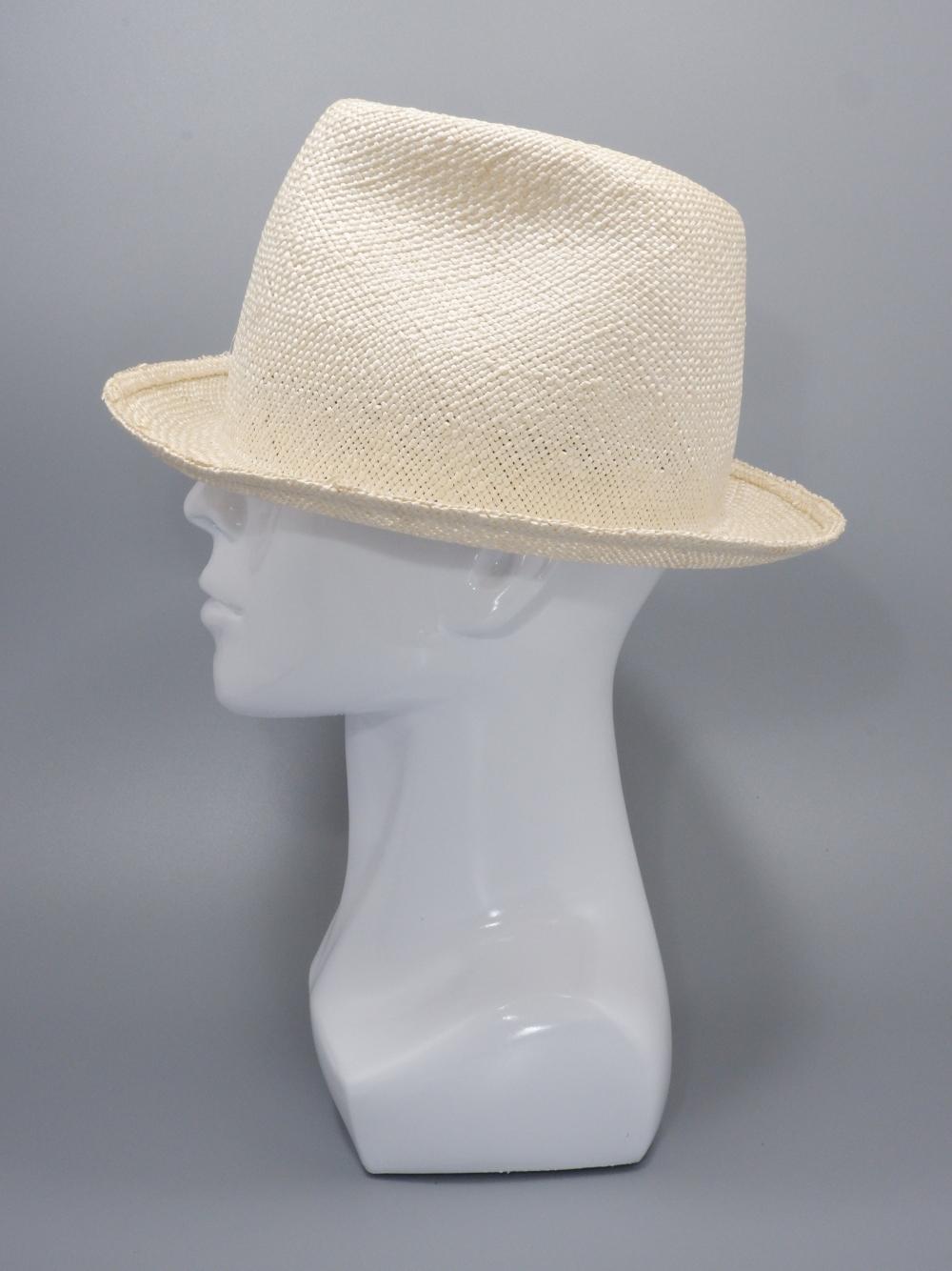 hatW378b